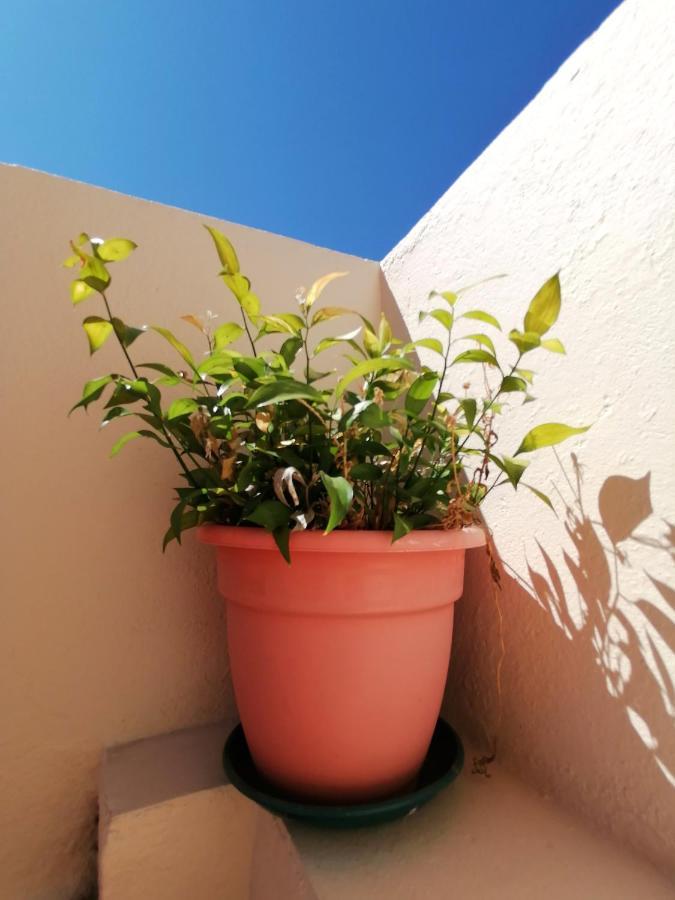 Apartamento Penha T3 Фару Экстерьер фото